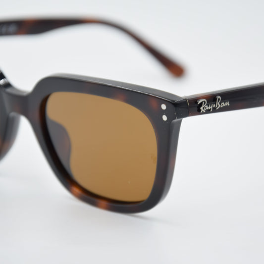 SOLAIRE :RAY-BAN RB4439D 902/33