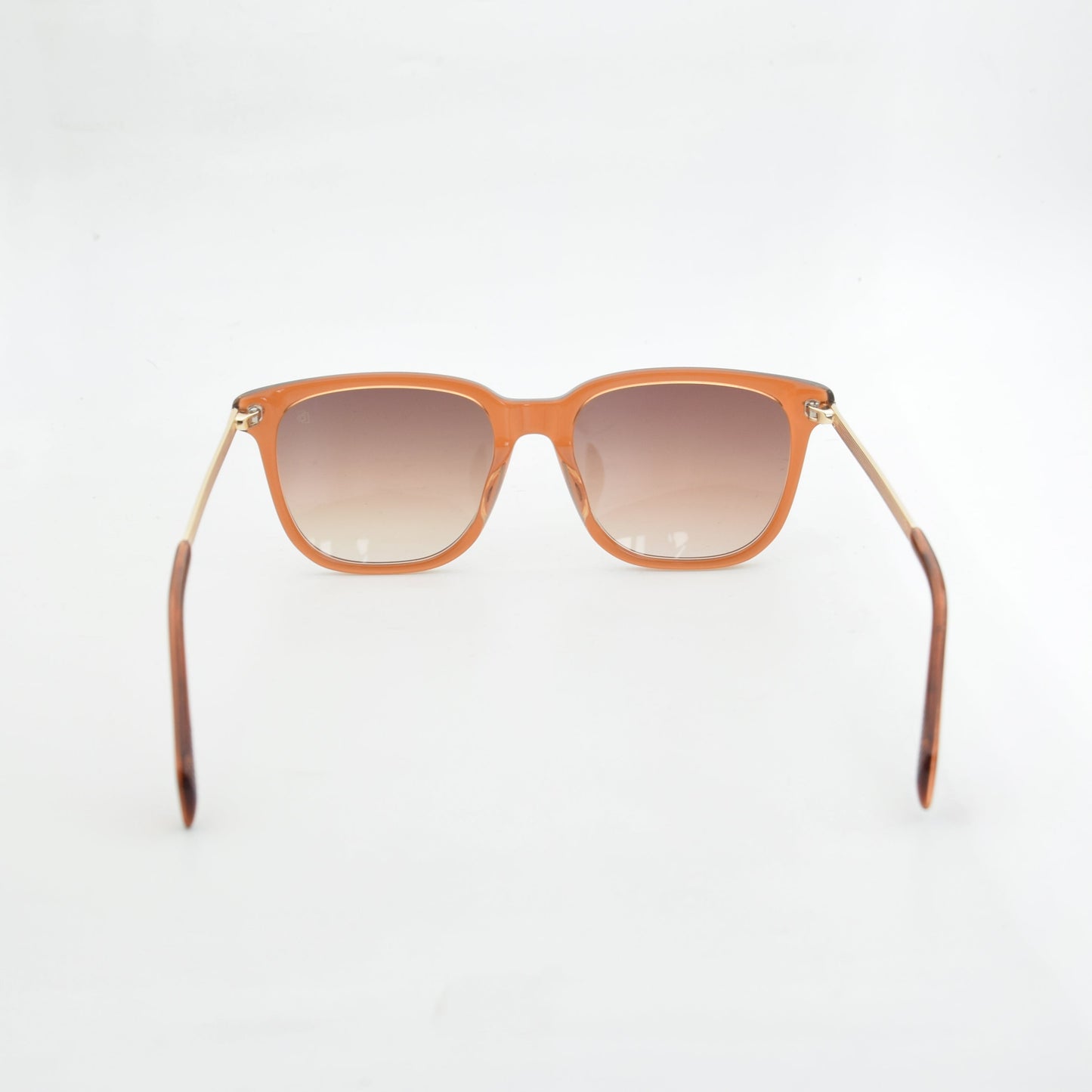 SOLAIRE :DAVID BECKHAM DB7067F/S MARRON